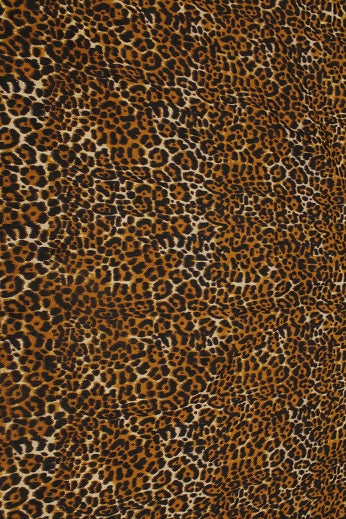 Etole Animal Core Colore