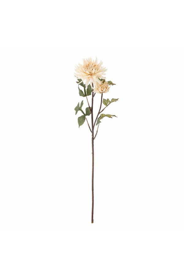 Chrysantemum Tige, Nature, Fleurs artificielles
