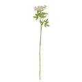 Fennel Tige, Rose, Fleurs artificielles