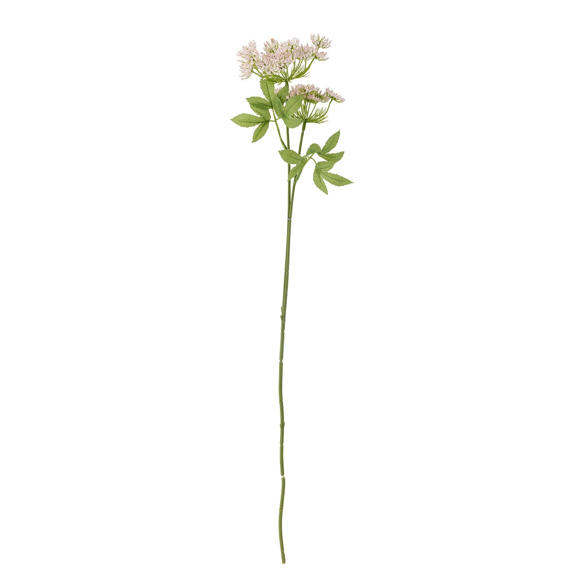Fennel Tige, Rose, Fleurs artificielles