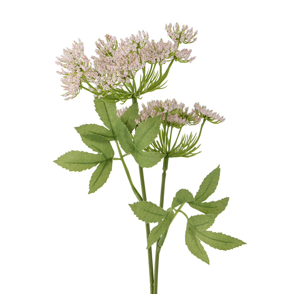 Fennel Tige, Rose, Fleurs artificielles