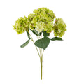 HYDRANGEA TIGE FLEUR