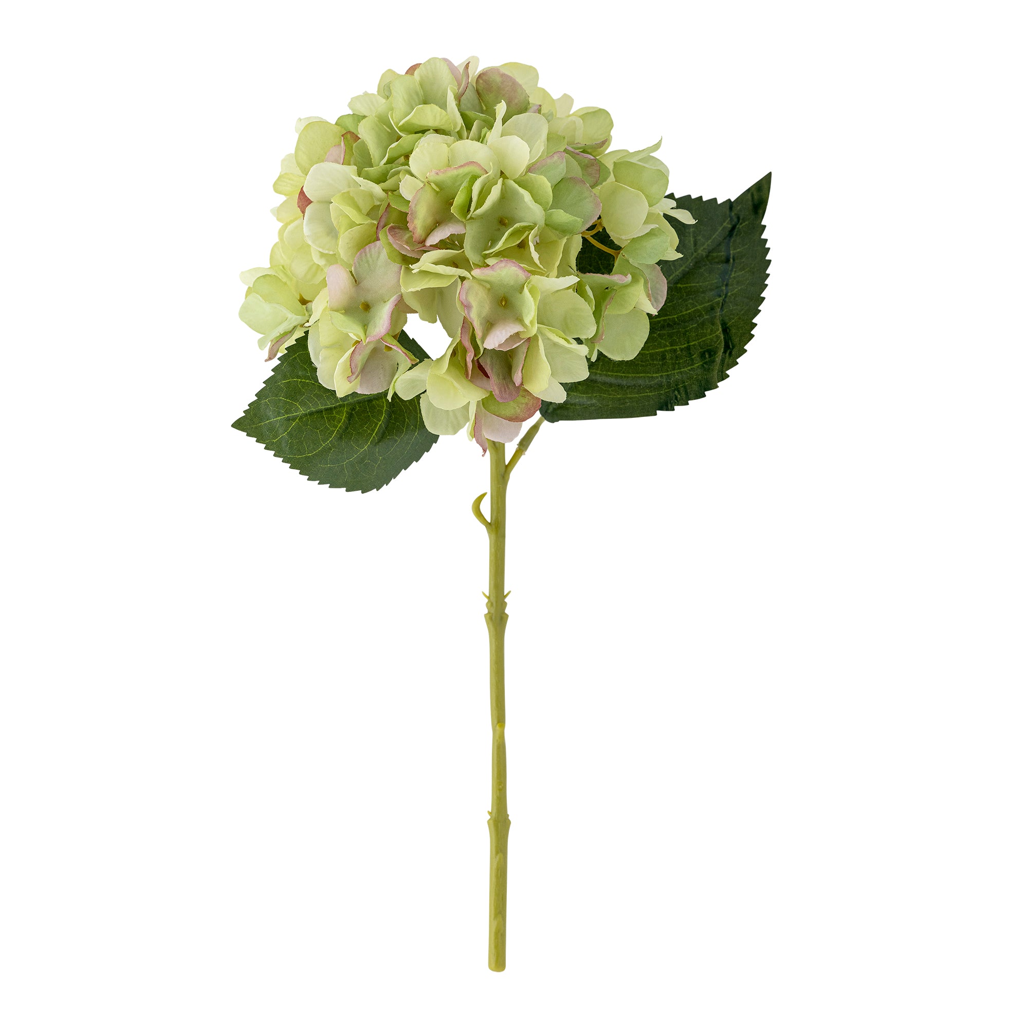 Hydrangea Tige, Blanc, Fleurs artificielles