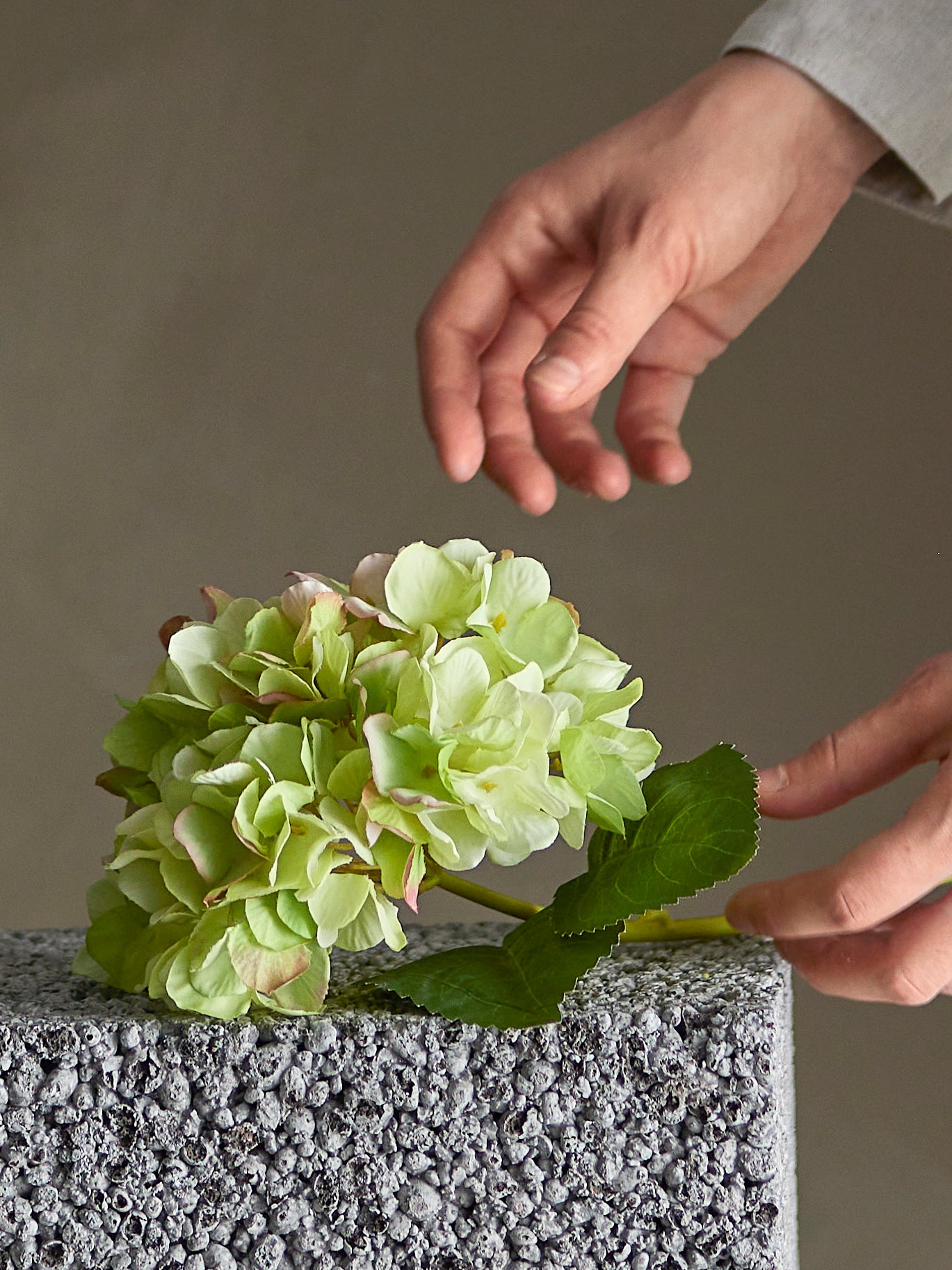 Hydrangea Tige, Blanc, Fleurs artificielles