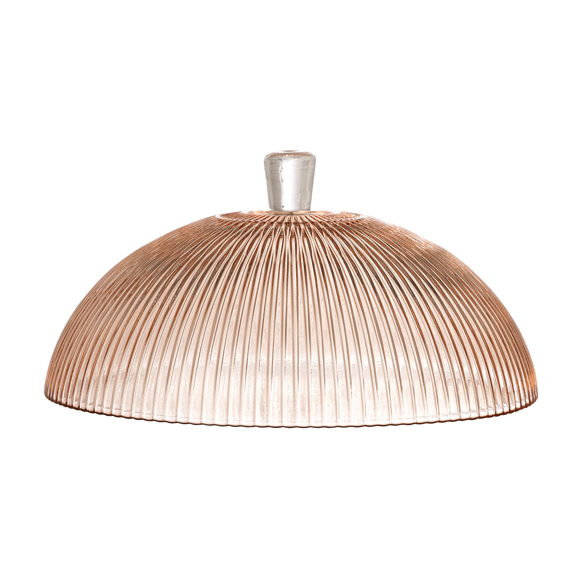 Tayo Cake Tray w/Dome, Multicolore, Verre