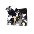Chiffonnettes - chat