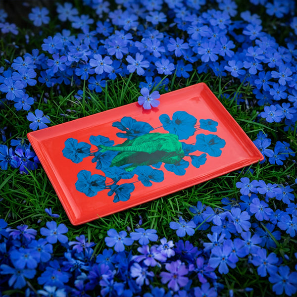 Poppy - plateau rectangulaire