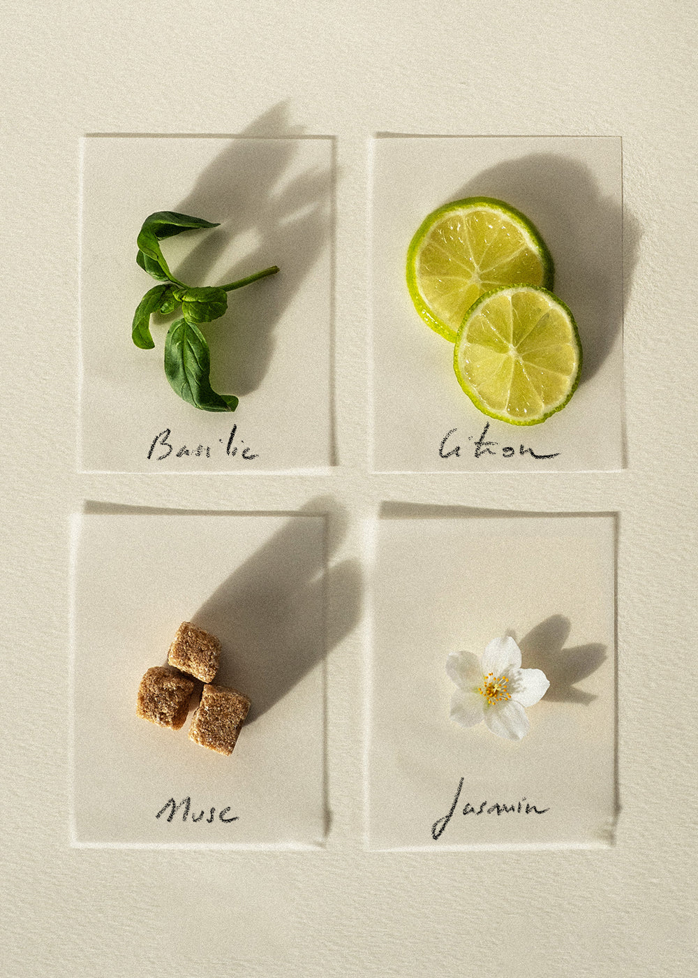Bougie parfumée basilic citron - 4