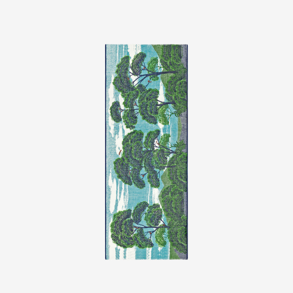 Etole 70 ambroise - vert 3