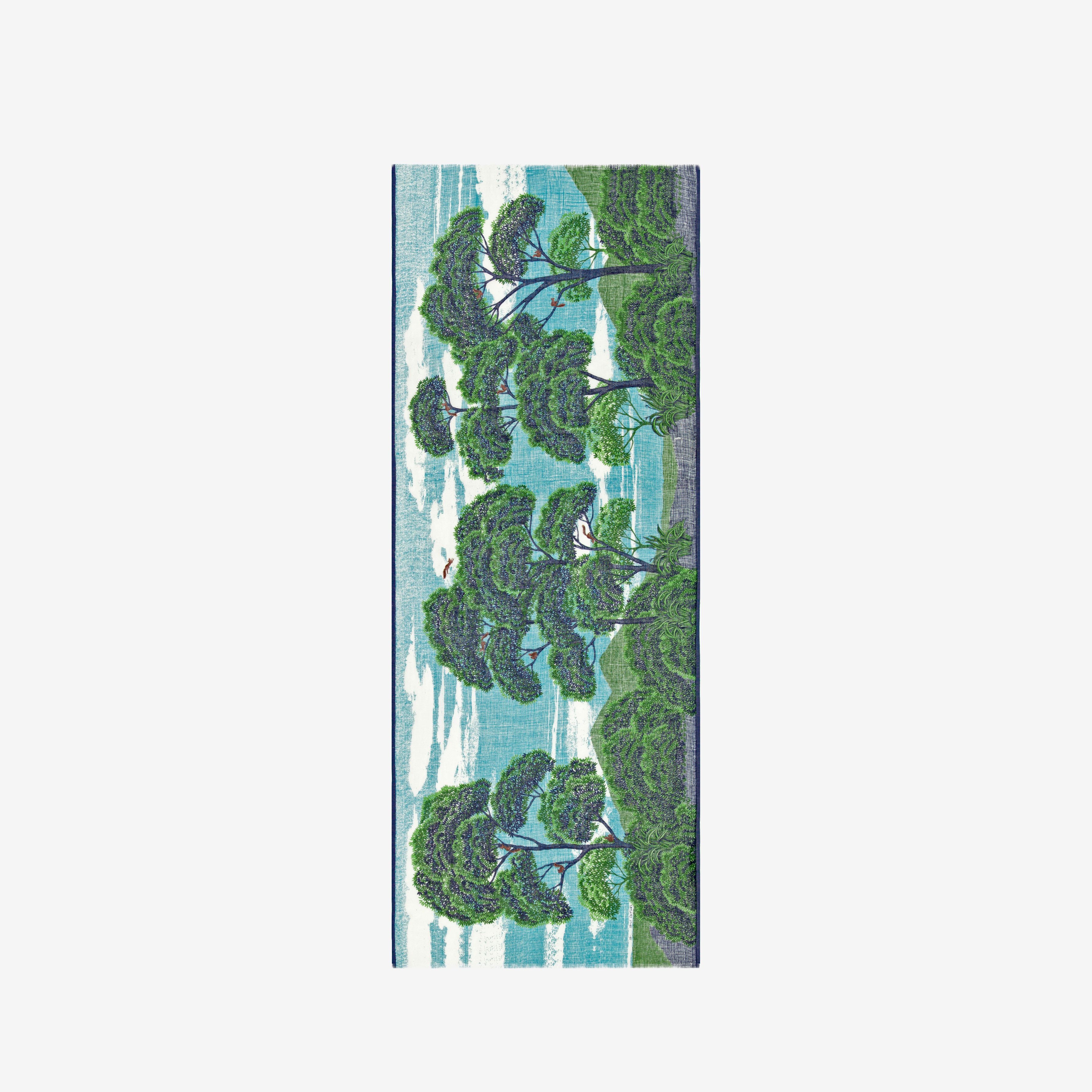 Etole 70 ambroise - vert 3
