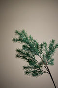 Pine Tige, Verte, Fleurs artificielles