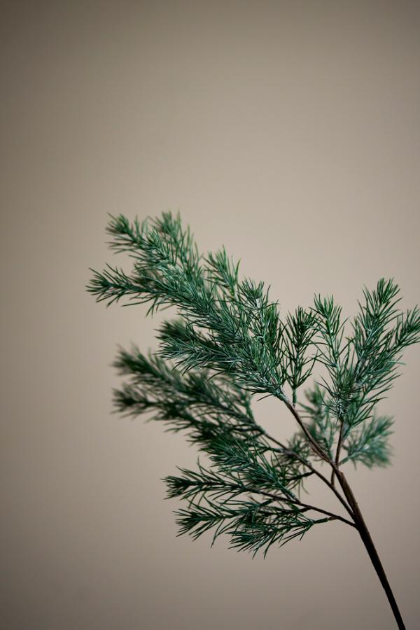 Pine Tige, Verte, Fleurs artificielles