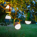 Luminaire Ole