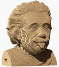 Albert einstein