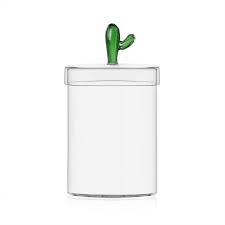 Desert Plants - Boîte cactus vert